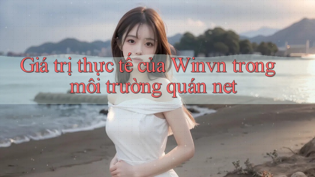 Giá trị thực tế của Winvn trong môi trường quán net Giá trị thực tế của Winvn trong môi trường quán net